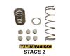 Tuning variátora CF MOTO GLADIATOR X450 / X520 / X625 / X850 / X1000 - STAGE 2