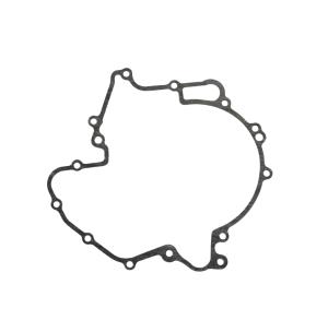 Tesnenie veka statora (TGB BLADE 1000) (910052)