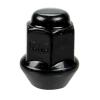 MATICA DISKU M10 X 1.25 (OUTLANDER, RENEGADE) (250100184)