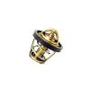 Termostat 65° (CAN-AM OUTLANDER, RENEGADE, COMMANDER) (420222494)