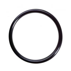 O-RING (420631310)
