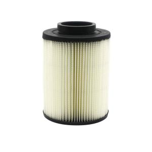Vzduchový filter (POLARIS RGR/RZR 800) (1240482)