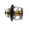 Termostat (ACCESS TOMAHAWK 300, 400 a MAX 4, MAX 5) (15300-E10-000)