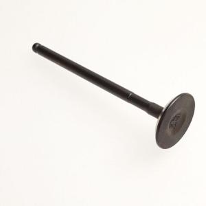 Výfukový ventil (ACCESS TOMAHAWK 400, MAX 5) (14721-E17-100)