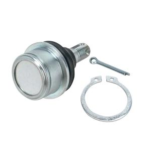 Vrchný/Spodný čap ramena (YAMAHA RAPTOR YFM 350 GRIZZLY 350-450, KODIAK, BIG BEAR) (CF MOTO 500-800) (04300255)
